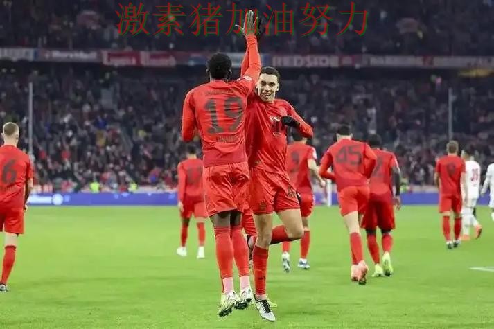 德甲强势回归备受关注